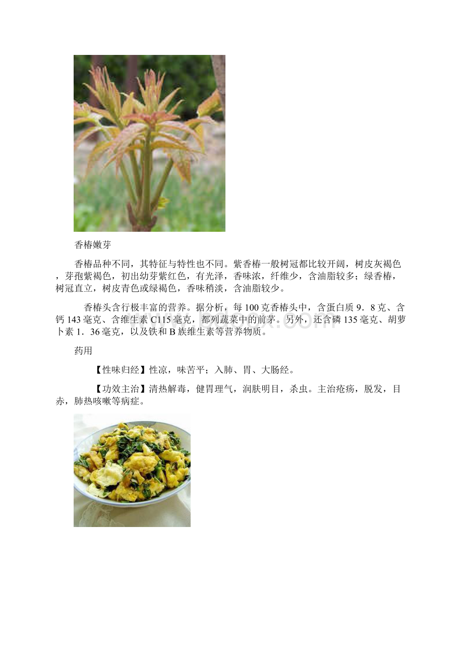 观赏植物论文.docx_第2页