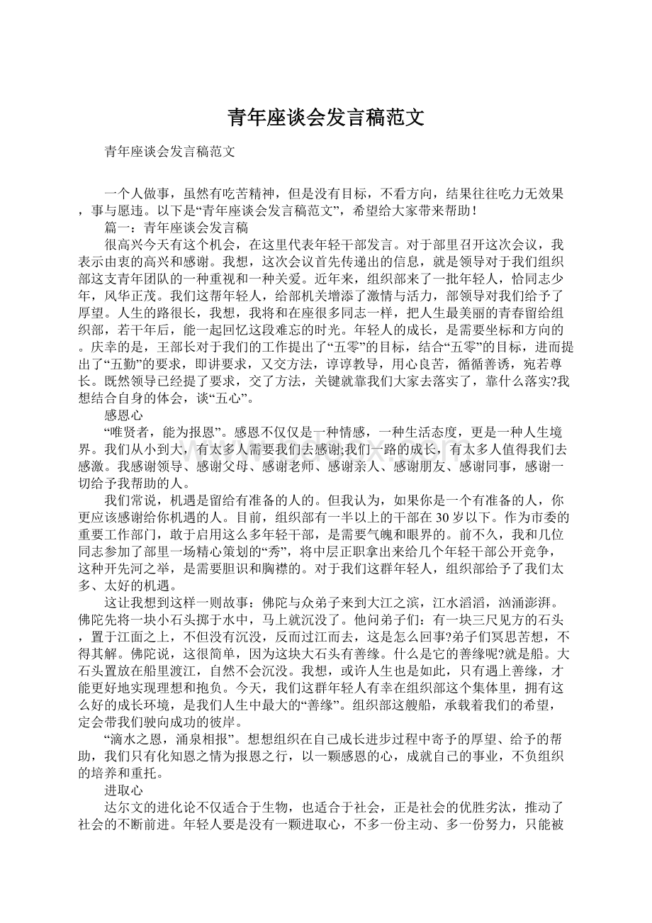 青年座谈会发言稿范文文档格式.docx