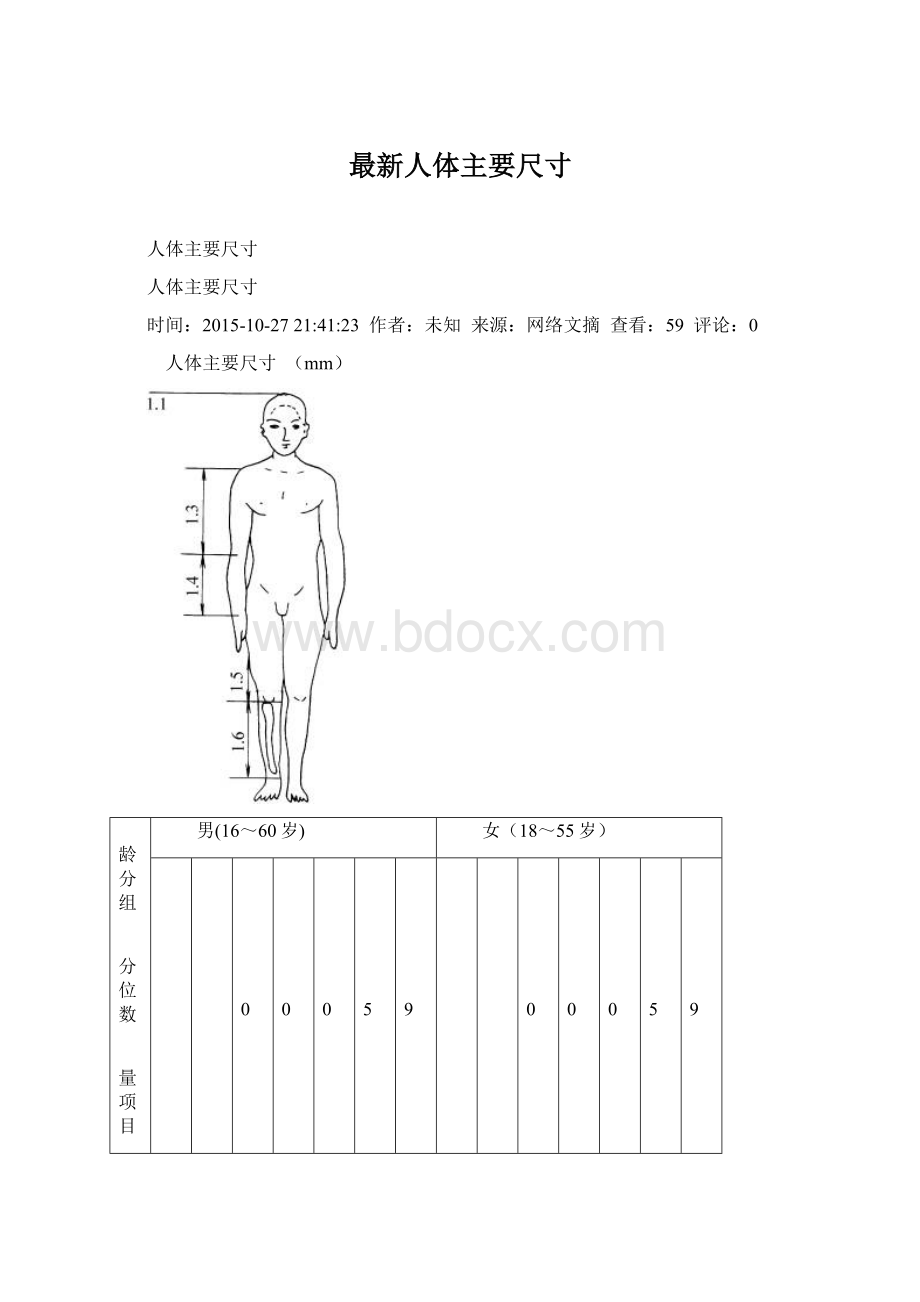 最新人体主要尺寸文档格式.docx