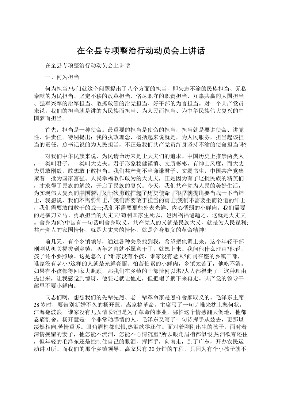 在全县专项整治行动动员会上讲话Word文件下载.docx