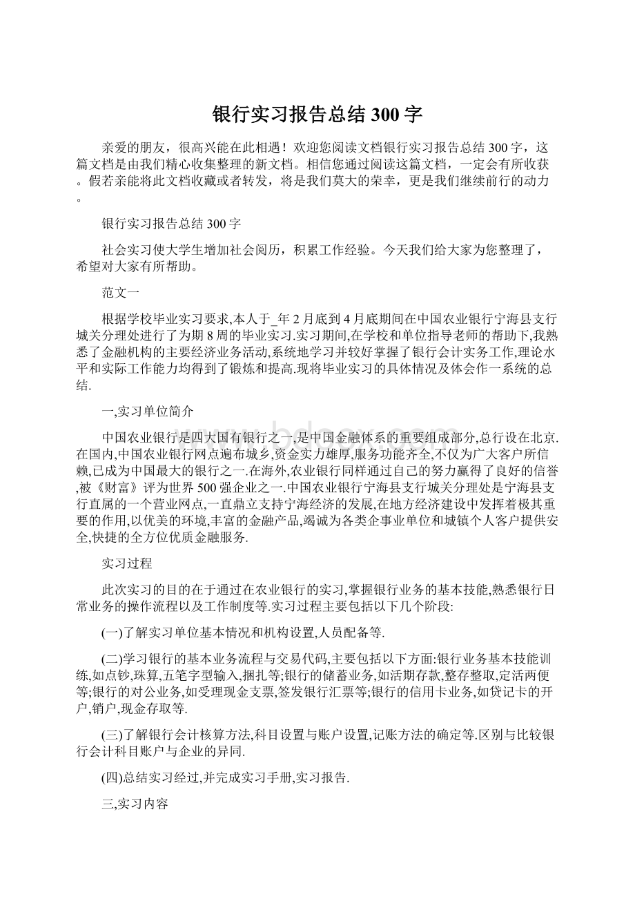 银行实习报告总结300字.docx