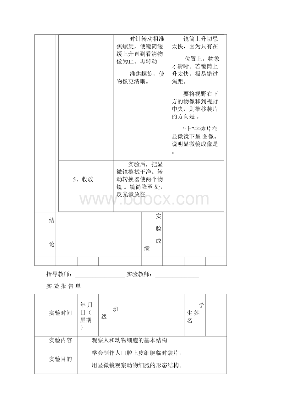 北师大版初中生物学实验报告单Word文件下载.docx_第2页