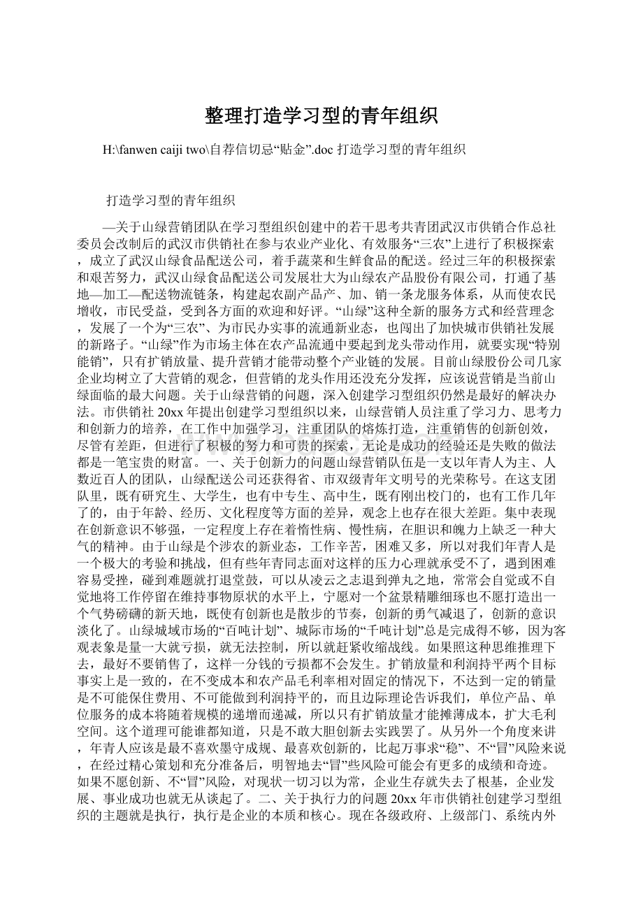 整理打造学习型的青年组织Word格式.docx