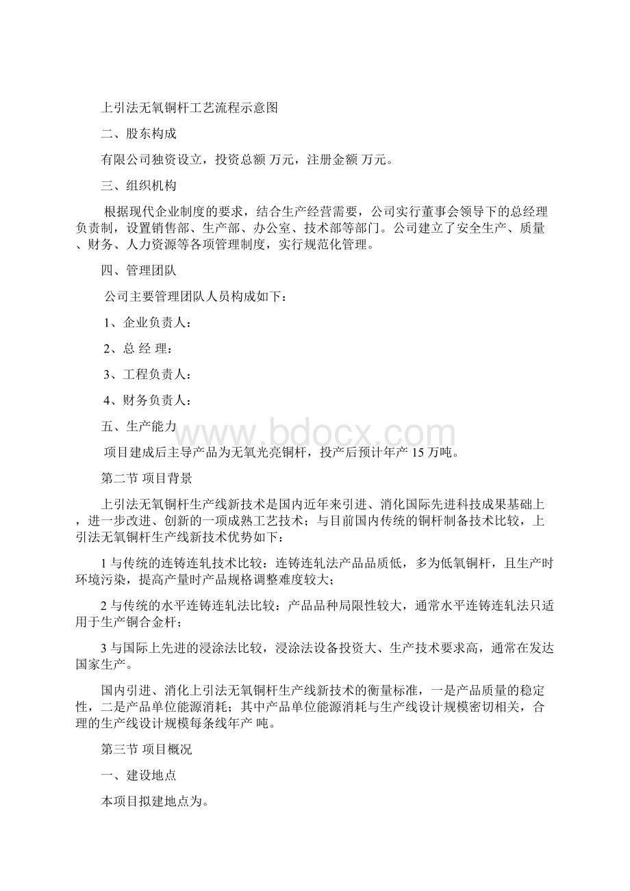 上引法无氧铜杆生产线项目可行性研究报告.docx_第2页