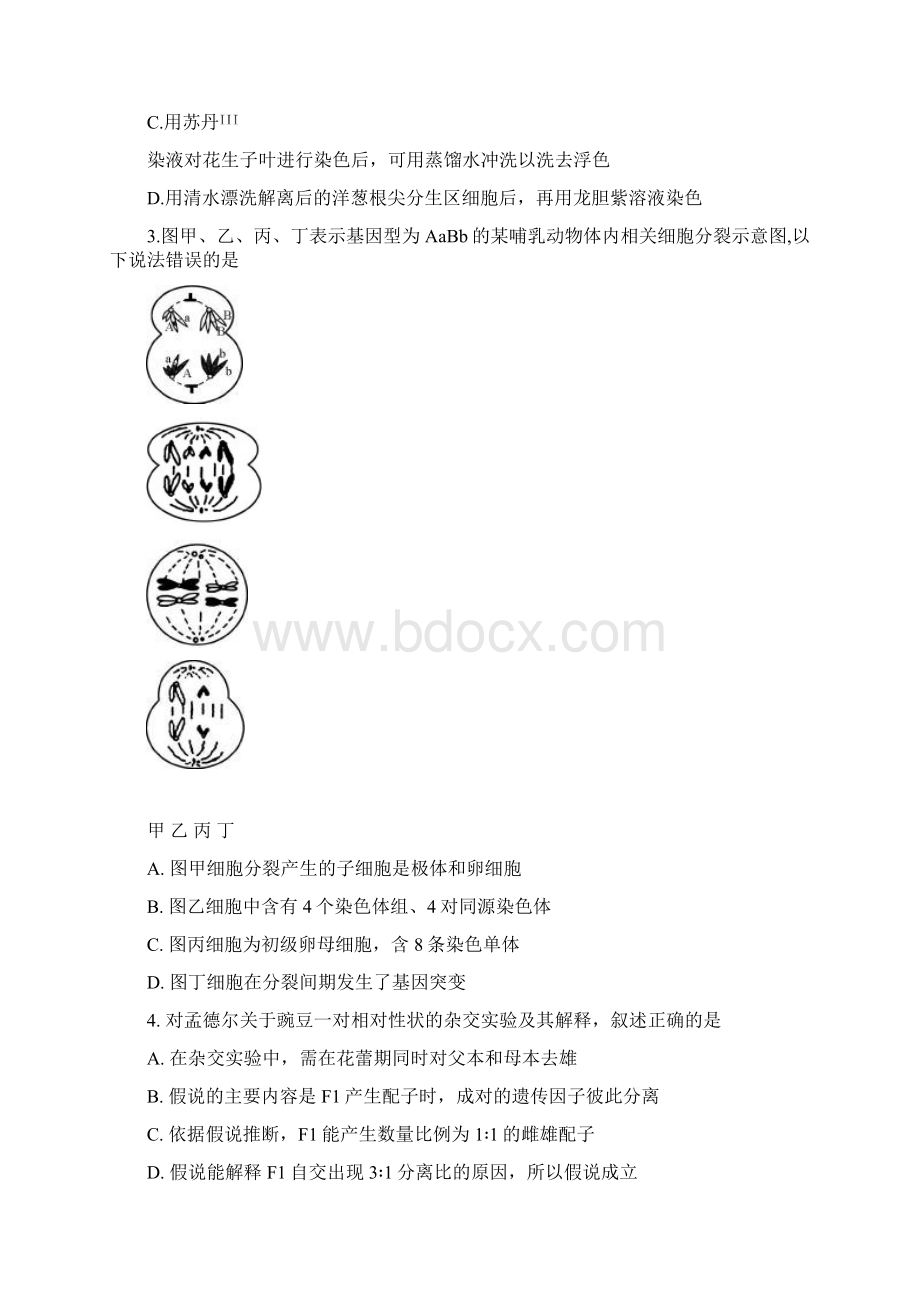 华南师大附中届高三第四次模拟考试理科综合试题.docx_第2页