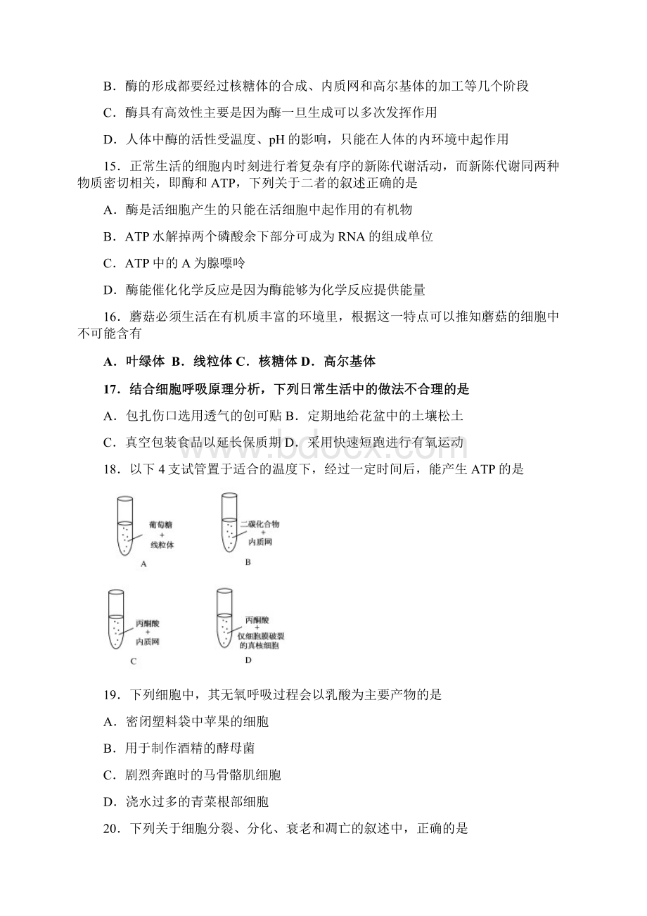 期末试题北京市怀柔区学年高二生物上学期期末考试检测试题有答案Word文件下载.docx_第3页