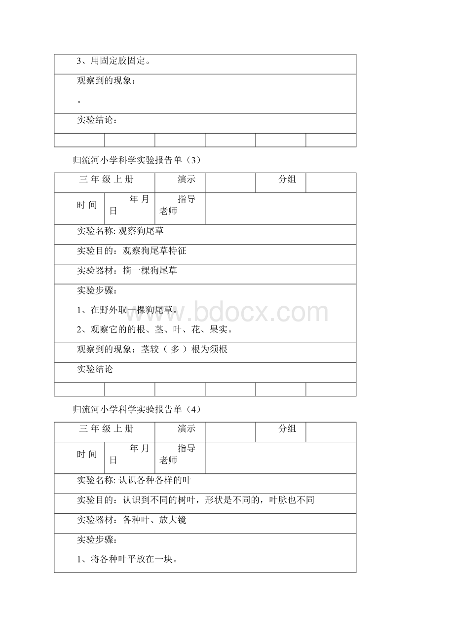 三年级上册科学实验报告单64801294.docx_第2页