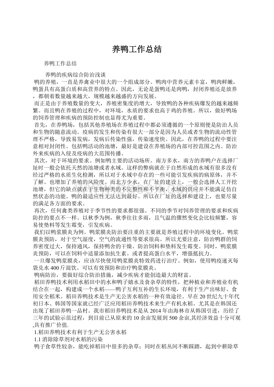 养鸭工作总结Word文档下载推荐.docx