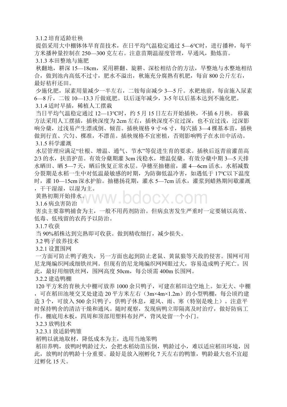 养鸭工作总结Word文档下载推荐.docx_第3页