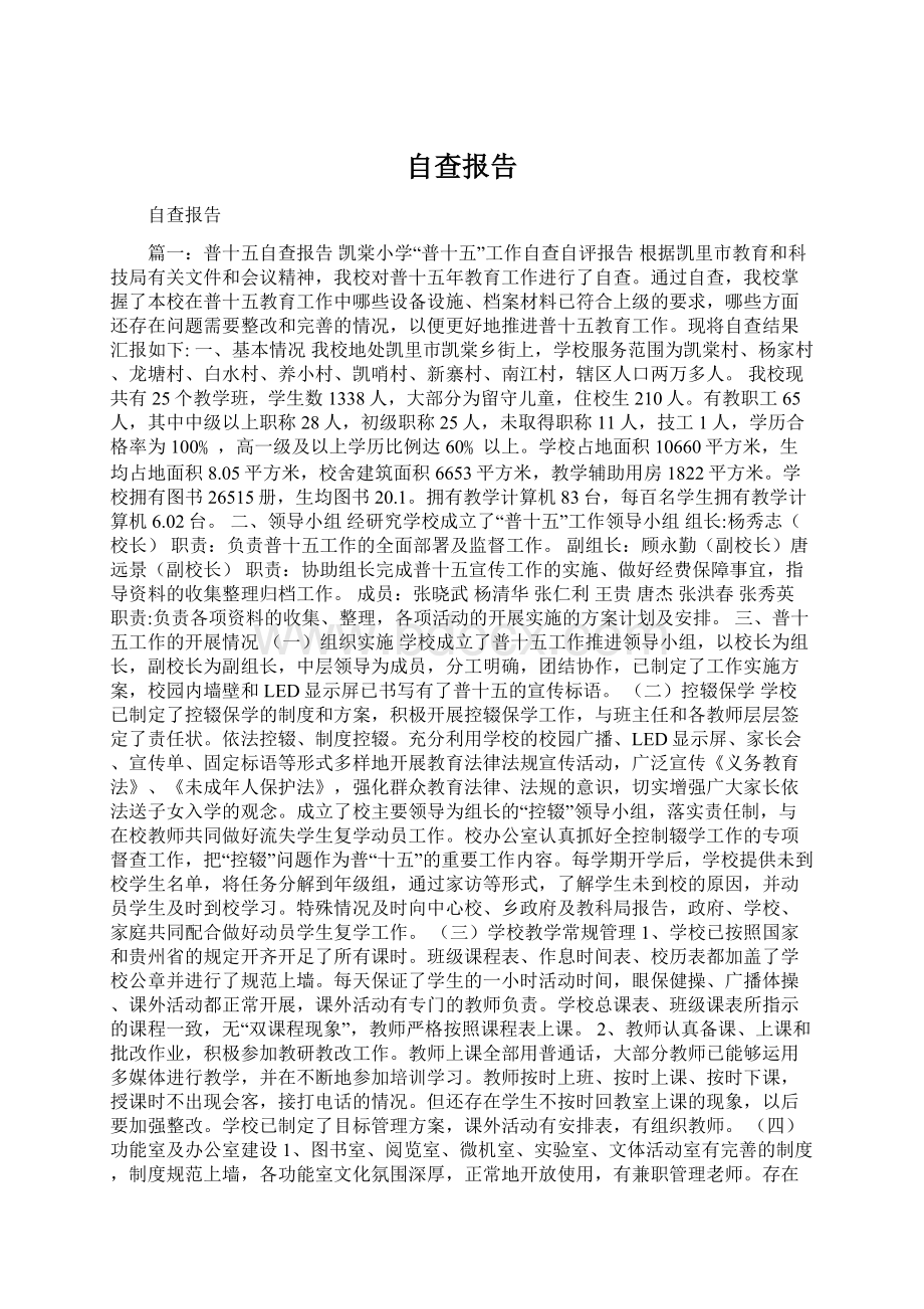 自查报告.docx_第1页