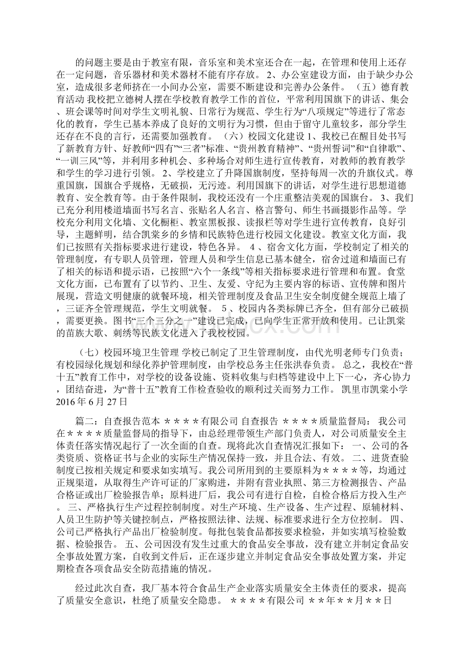 自查报告.docx_第2页