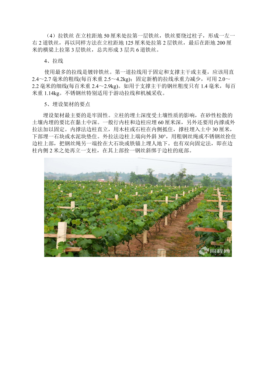 最新葡萄园建设规划方案资料.docx_第2页