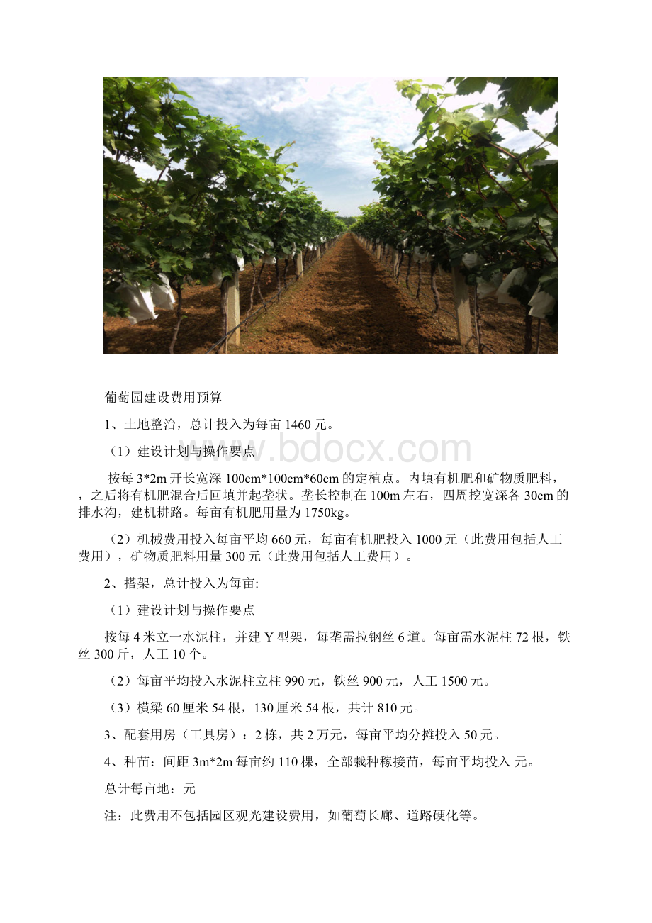 最新葡萄园建设规划方案资料.docx_第3页