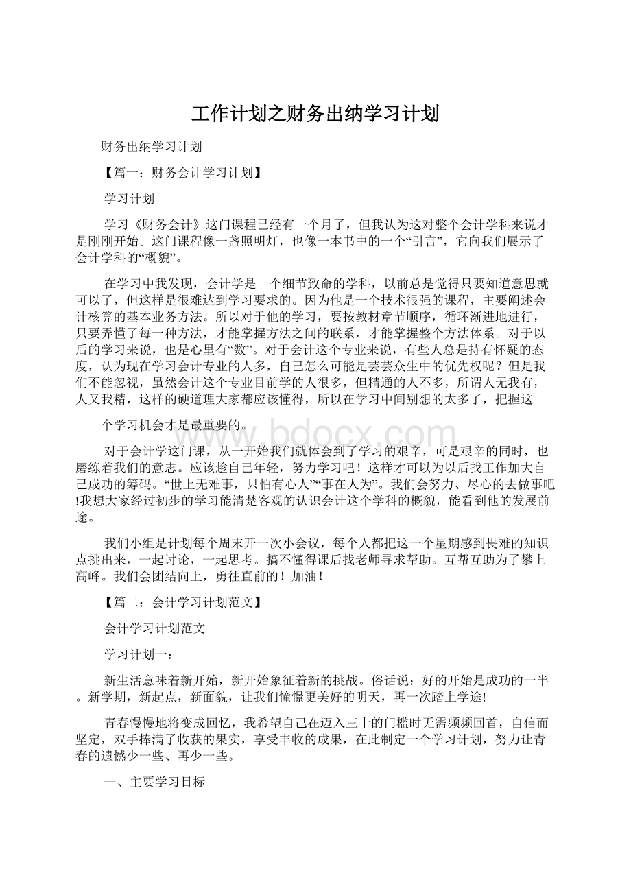 工作计划之财务出纳学习计划.docx