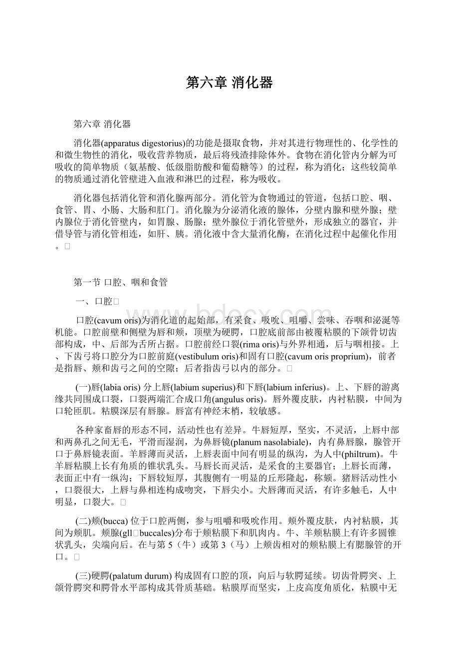 第六章 消化器.docx_第1页