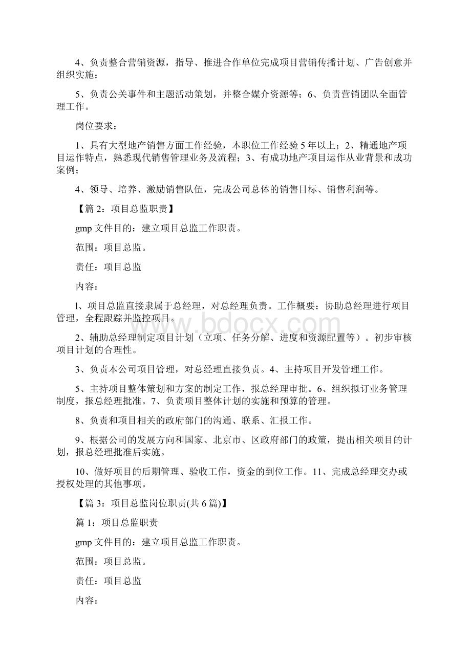 项目工程总监岗位职责共4篇.docx_第3页