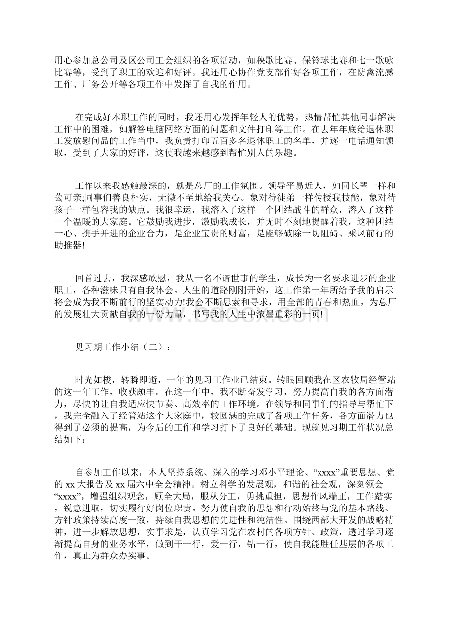 专题范文精品见习期工作小结.docx_第2页