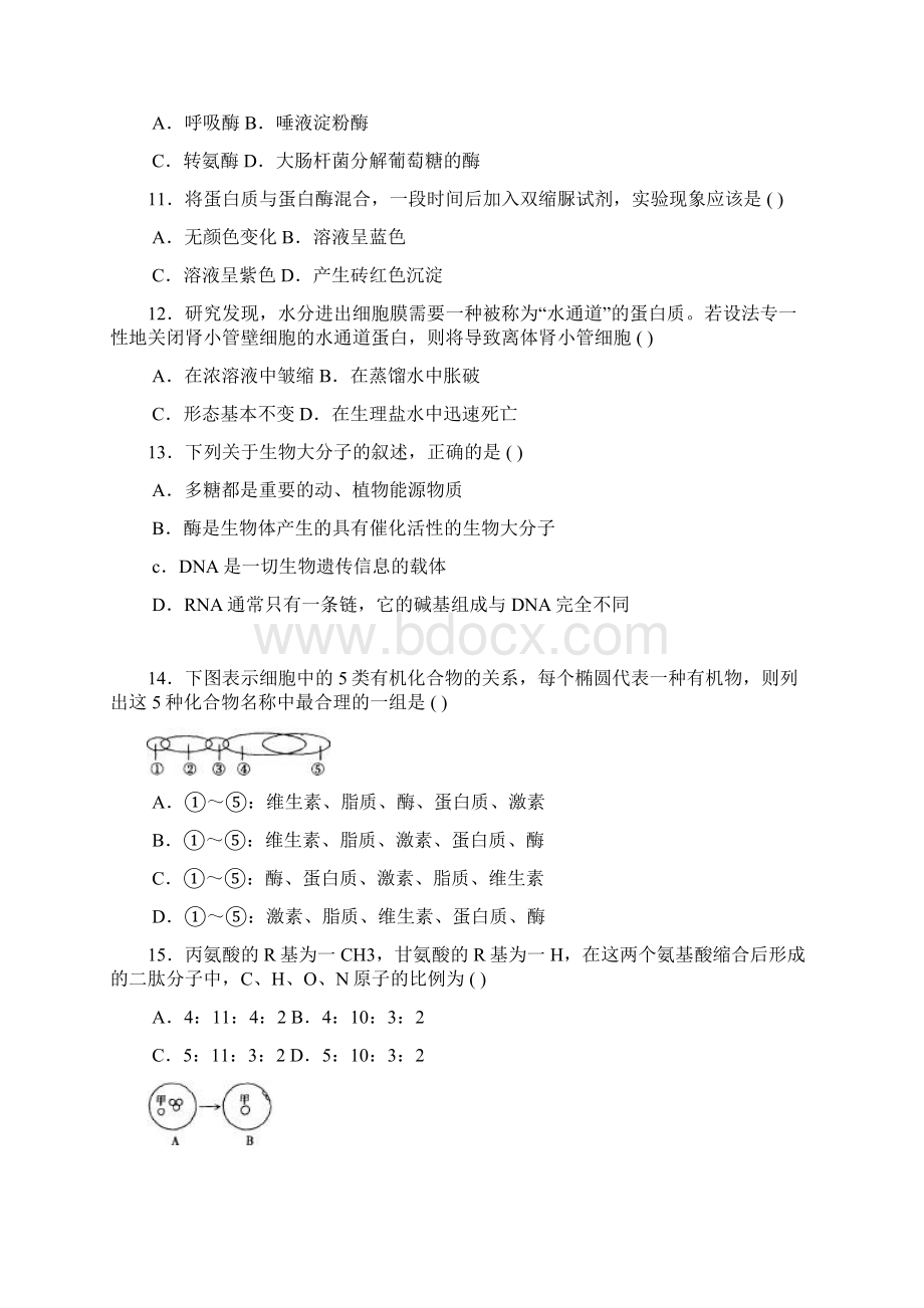 高中细胞知识竞赛试题及答案.docx_第3页