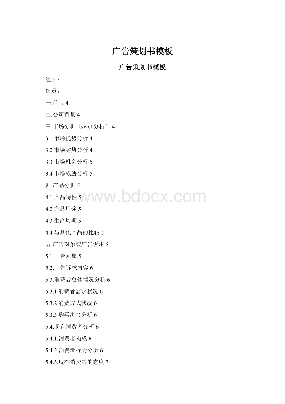 广告策划书模板文档格式.docx