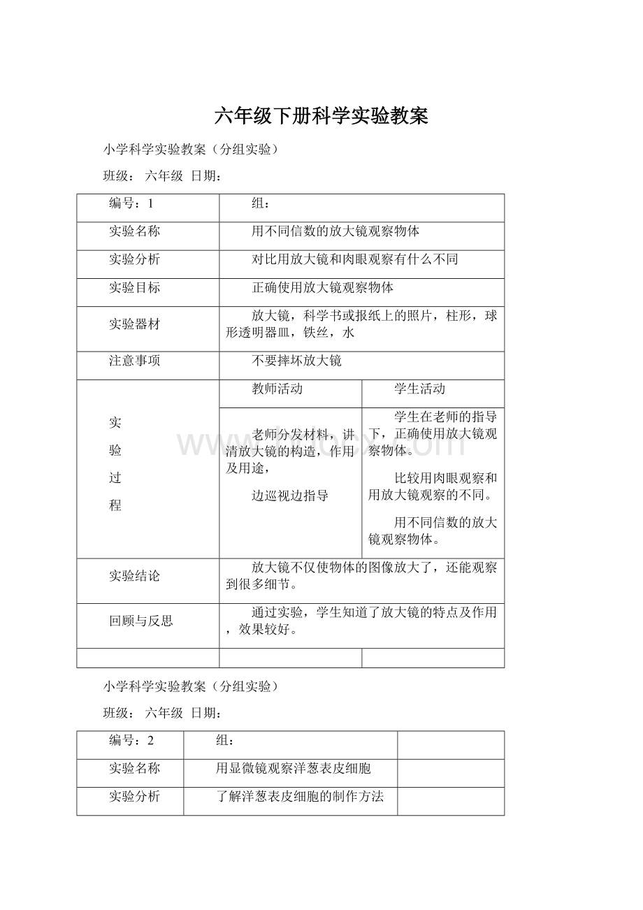 六年级下册科学实验教案Word文件下载.docx