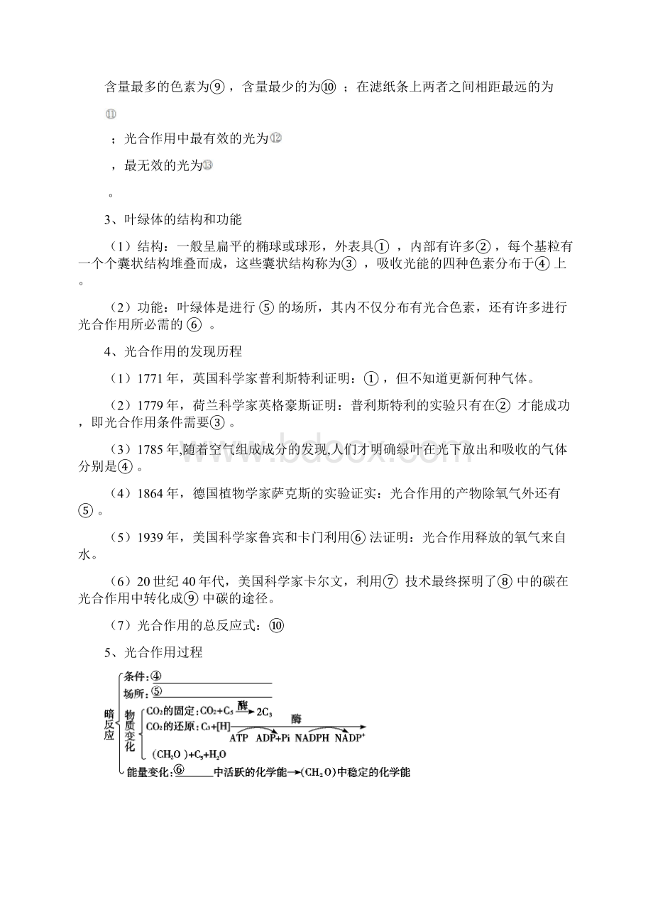 中学生物课时学案必修一 10光合作用含答案.docx_第2页