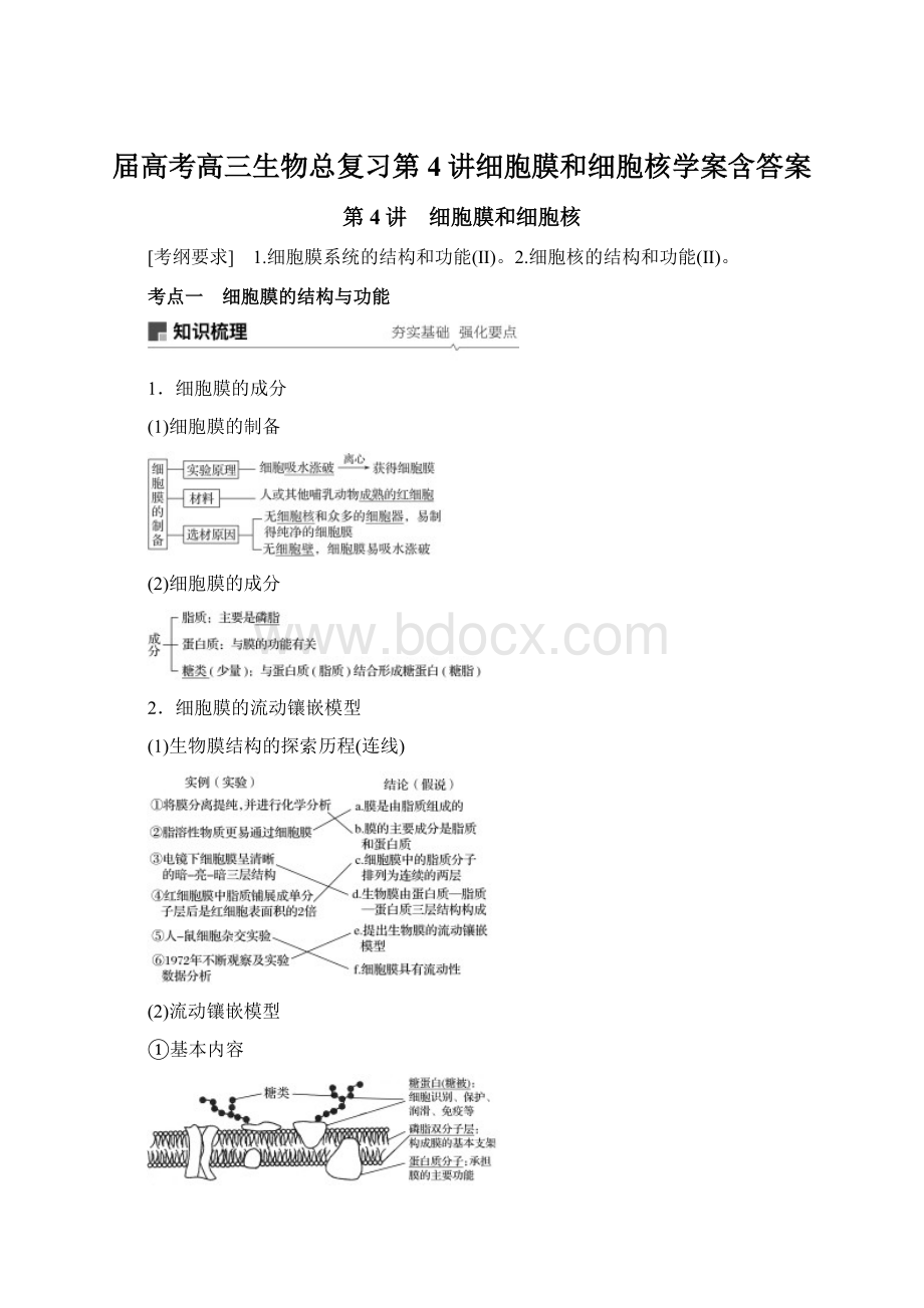 届高考高三生物总复习第4讲细胞膜和细胞核学案含答案Word文档下载推荐.docx