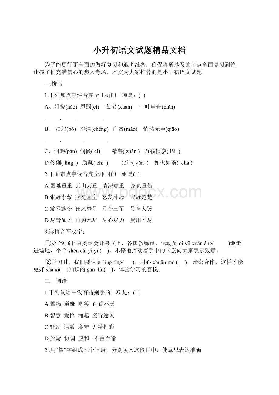 小升初语文试题精品文档文档格式.docx_第1页