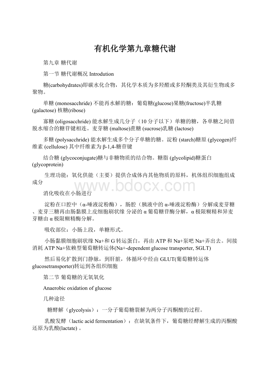 有机化学第九章糖代谢Word格式.docx_第1页