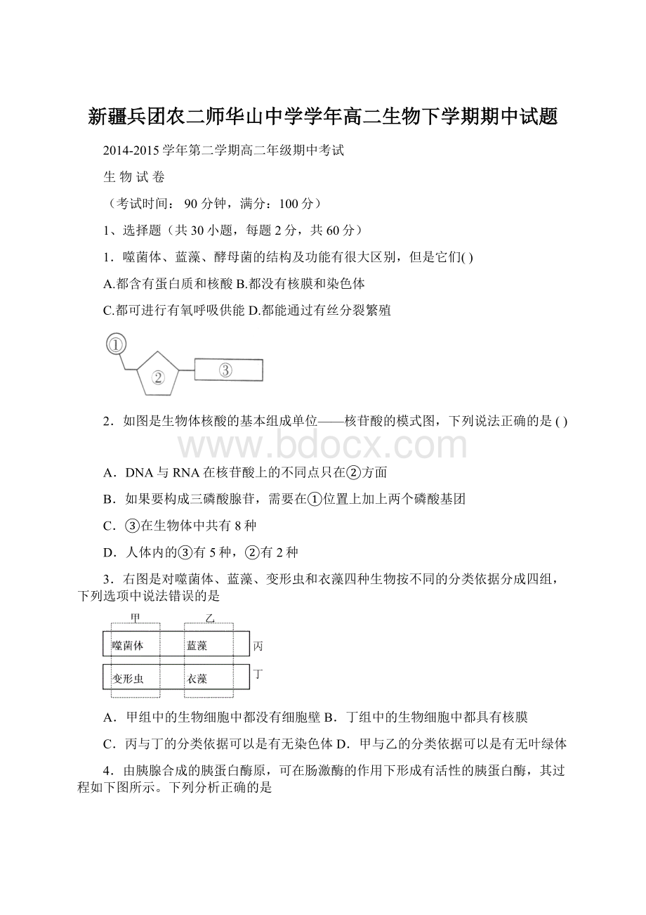 新疆兵团农二师华山中学学年高二生物下学期期中试题.docx_第1页