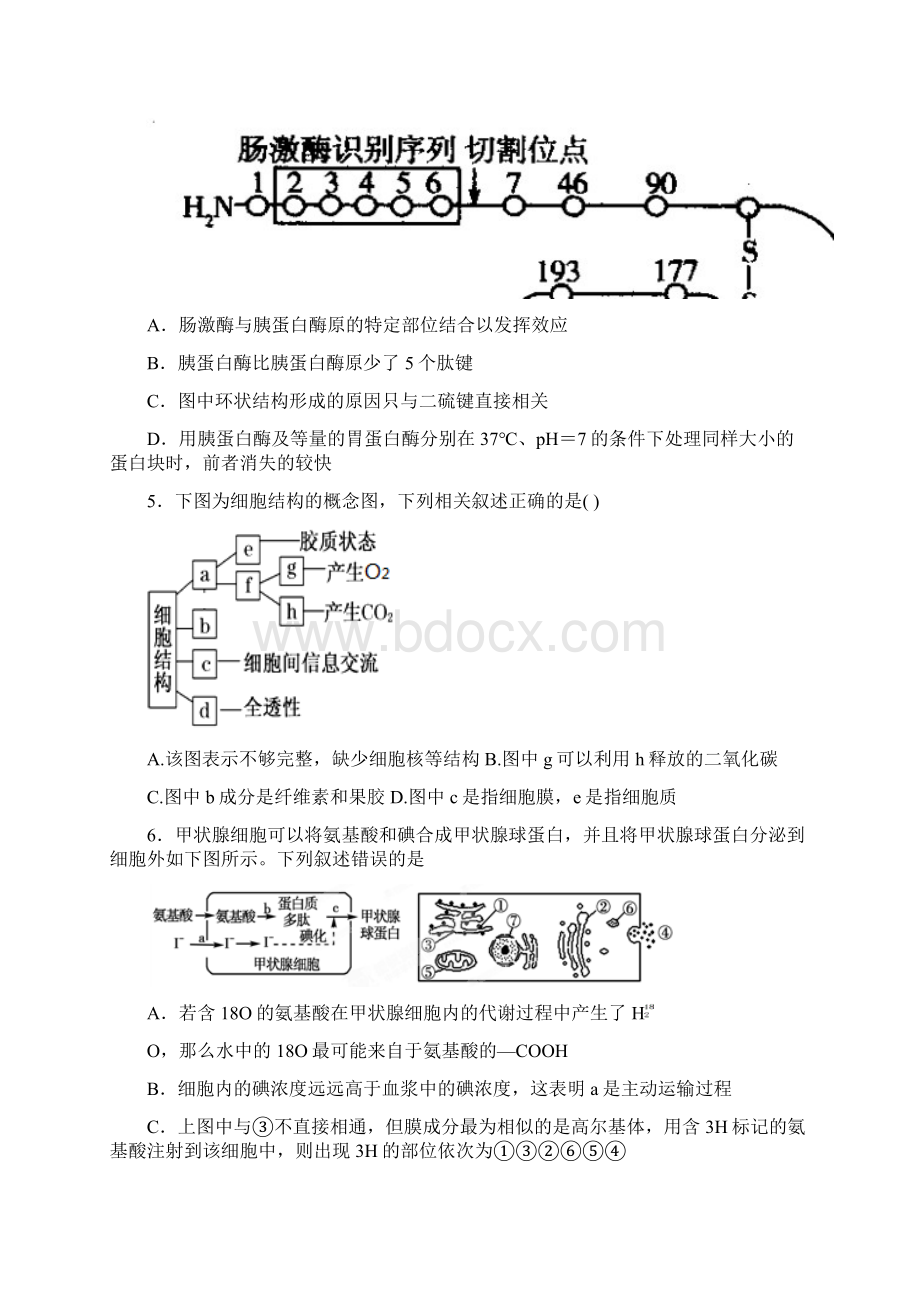 新疆兵团农二师华山中学学年高二生物下学期期中试题.docx_第2页