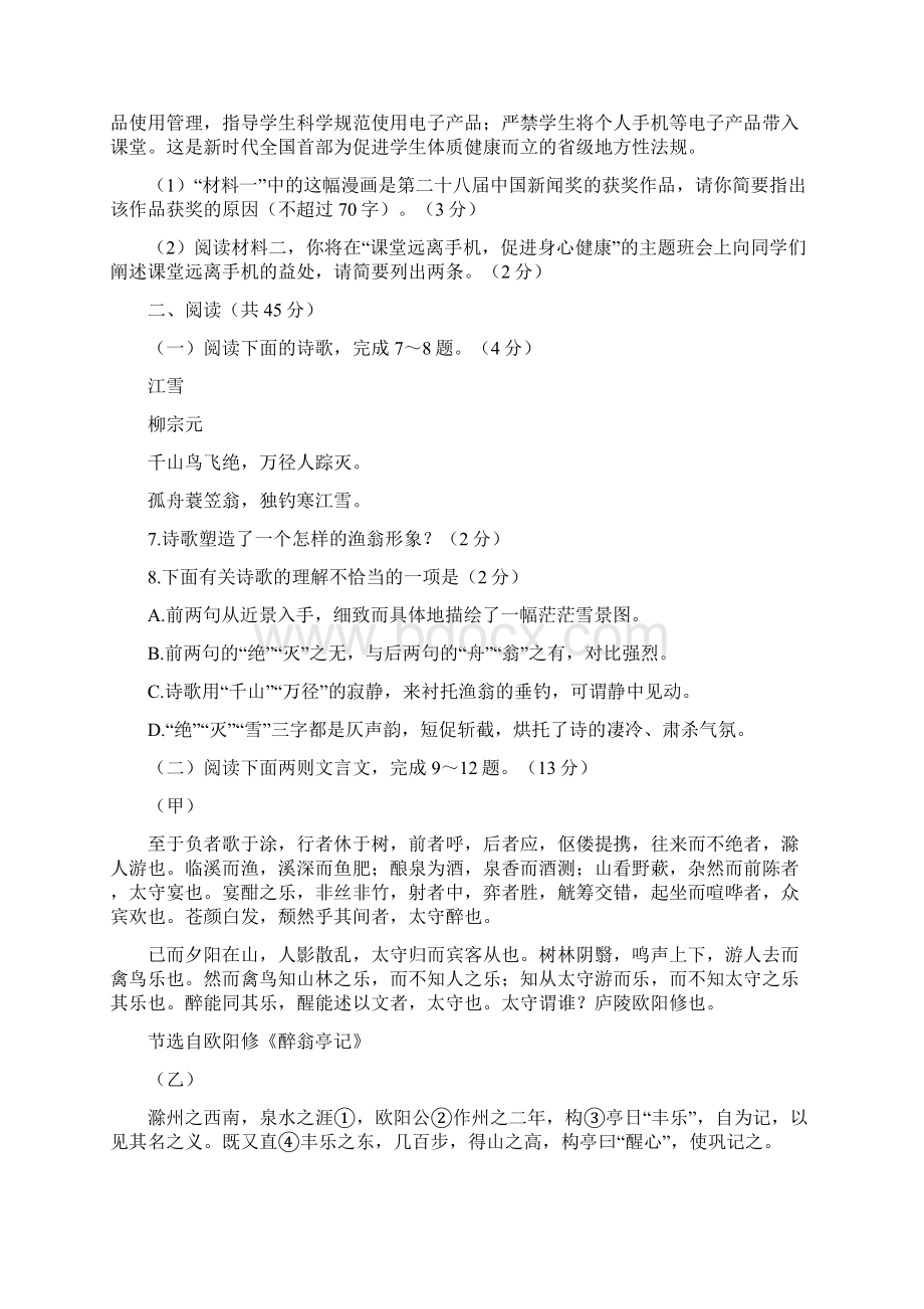 山东枣庄市中考语文试题附答案详析.docx_第3页