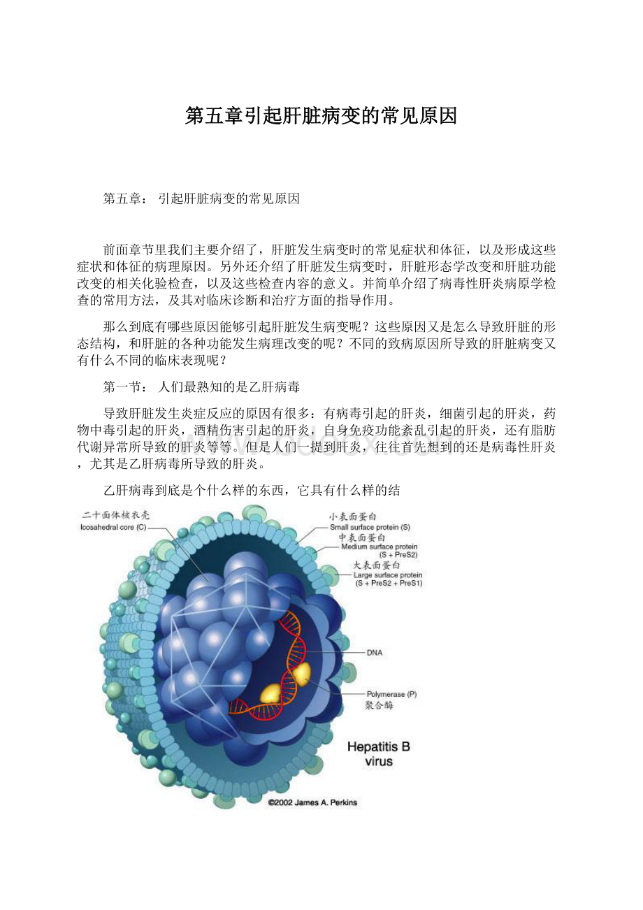 第五章引起肝脏病变的常见原因.docx