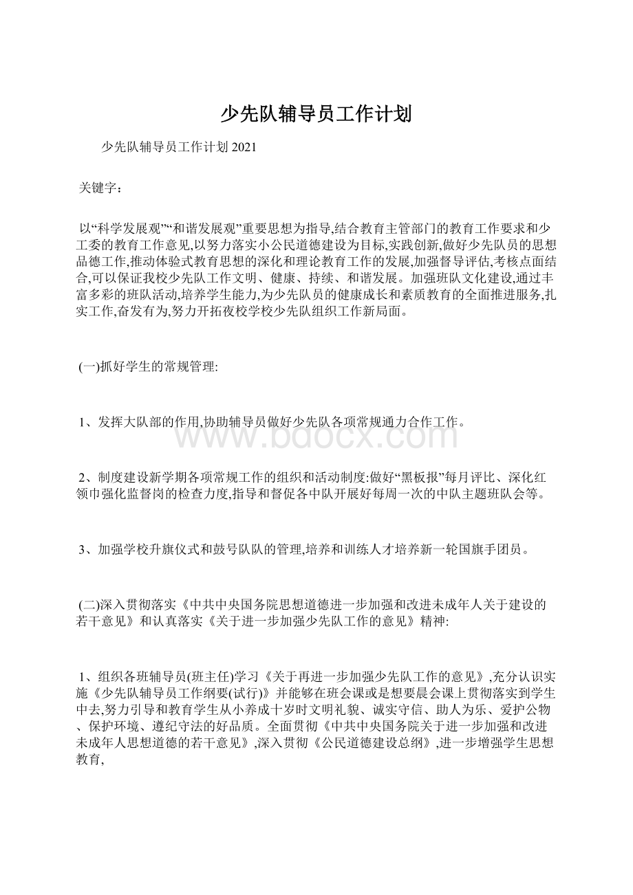 少先队辅导员工作计划.docx_第1页