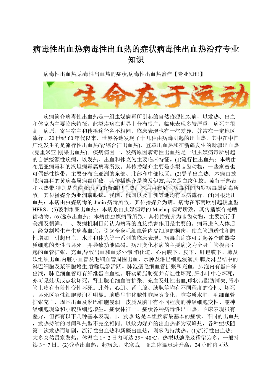 病毒性出血热病毒性出血热的症状病毒性出血热治疗专业知识.docx