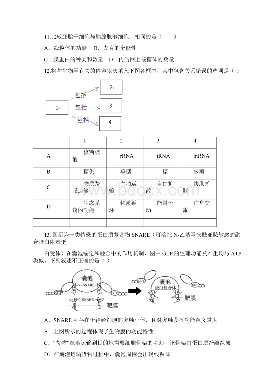 河北省衡水中学学年高三上学期小二调考试生物试题 Word版含答案Word格式文档下载.docx_第3页