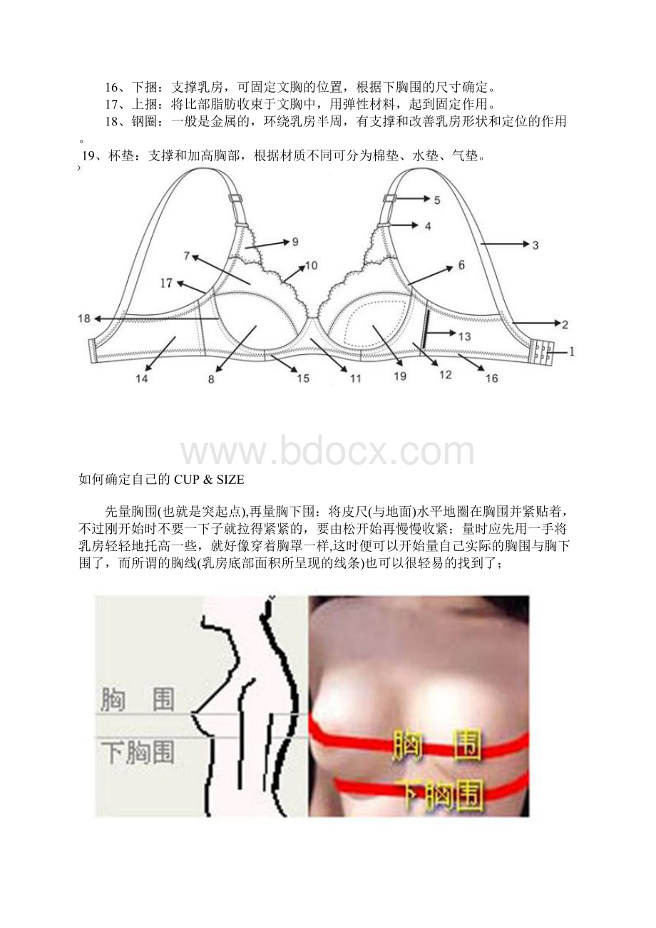 内衣专业知识培训Word文档格式.docx_第2页