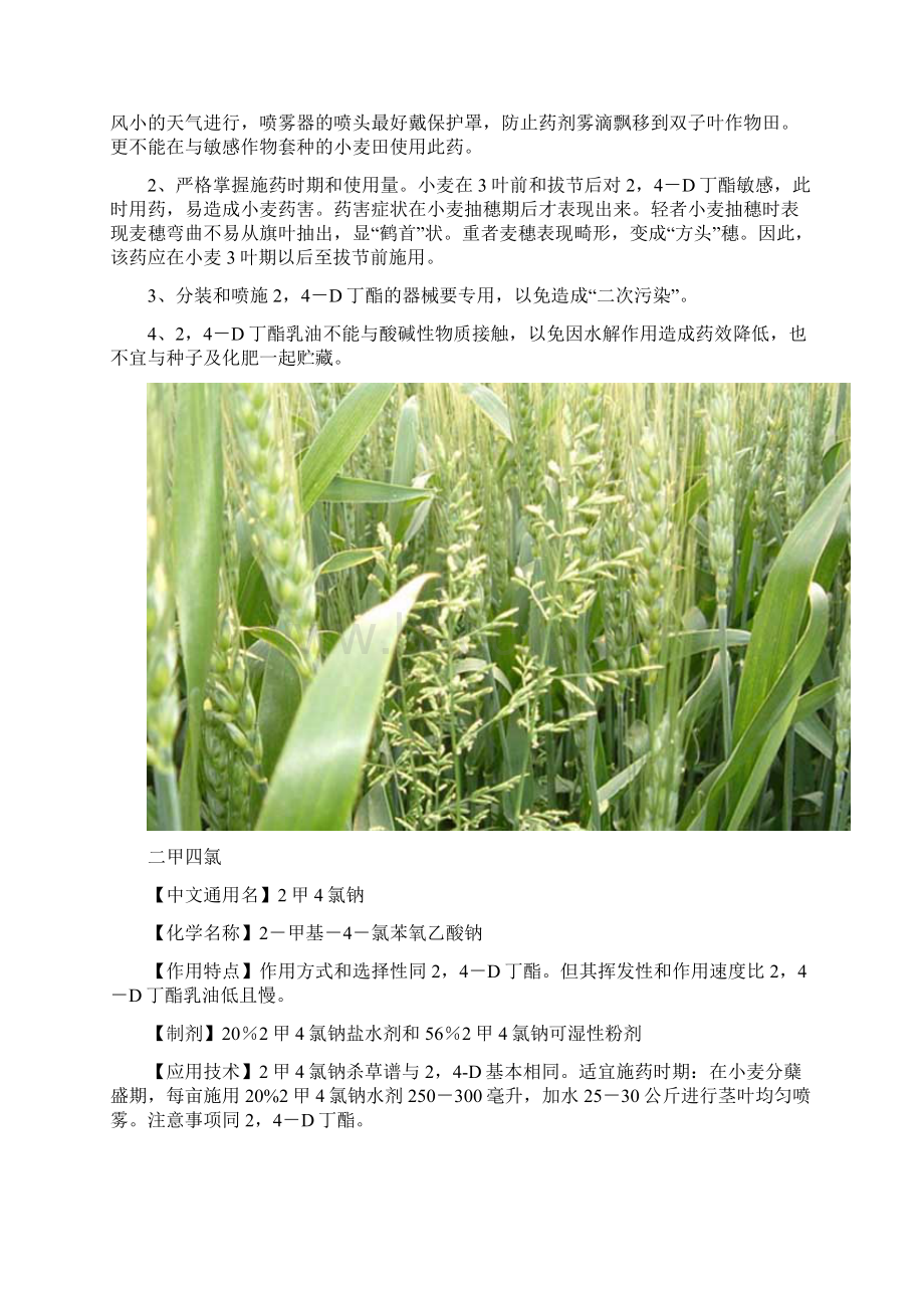 小麦田主要除草剂及使用方法.docx_第3页