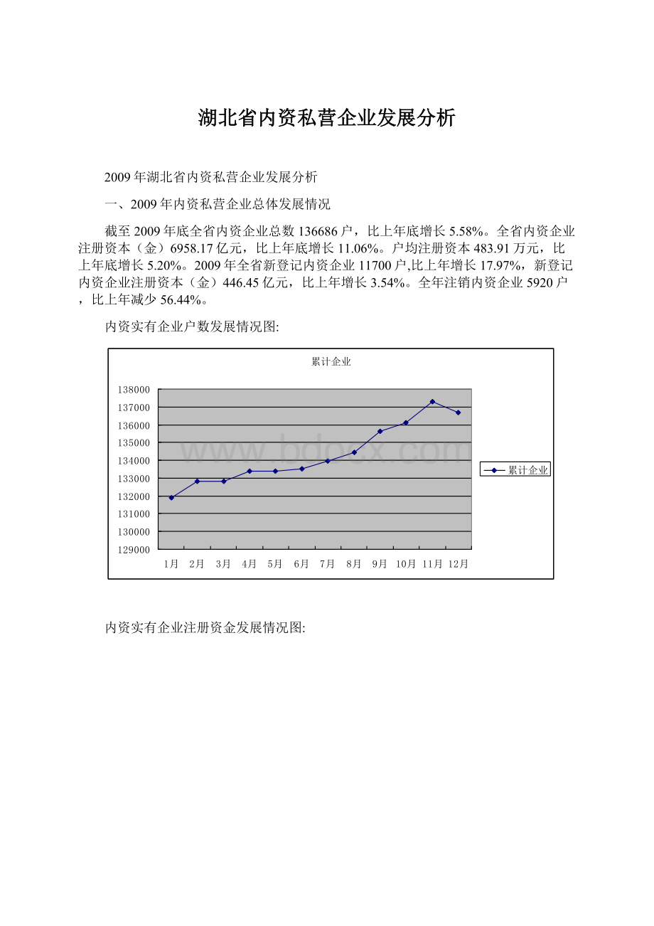 湖北省内资私营企业发展分析.docx_第1页