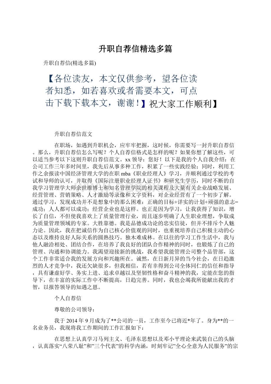 升职自荐信精选多篇Word文件下载.docx