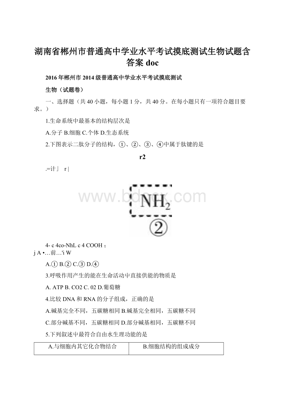 湖南省郴州市普通高中学业水平考试摸底测试生物试题含答案doc文档格式.docx