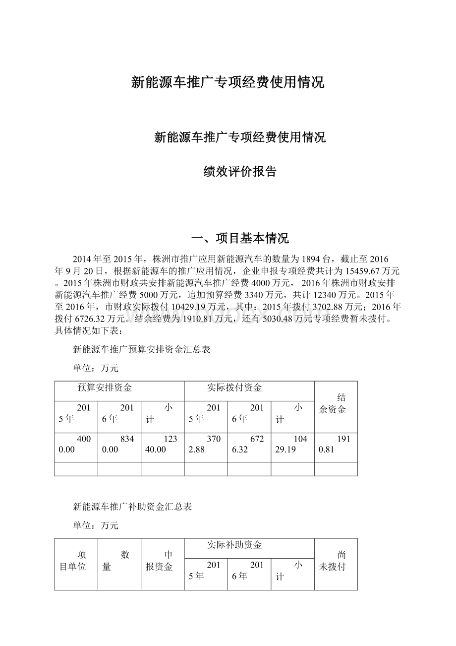 新能源车推广专项经费使用情况Word下载.docx_第1页