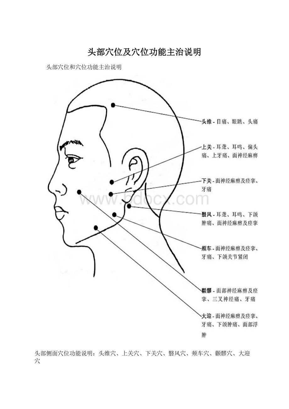 头部穴位及穴位功能主治说明.docx_第1页