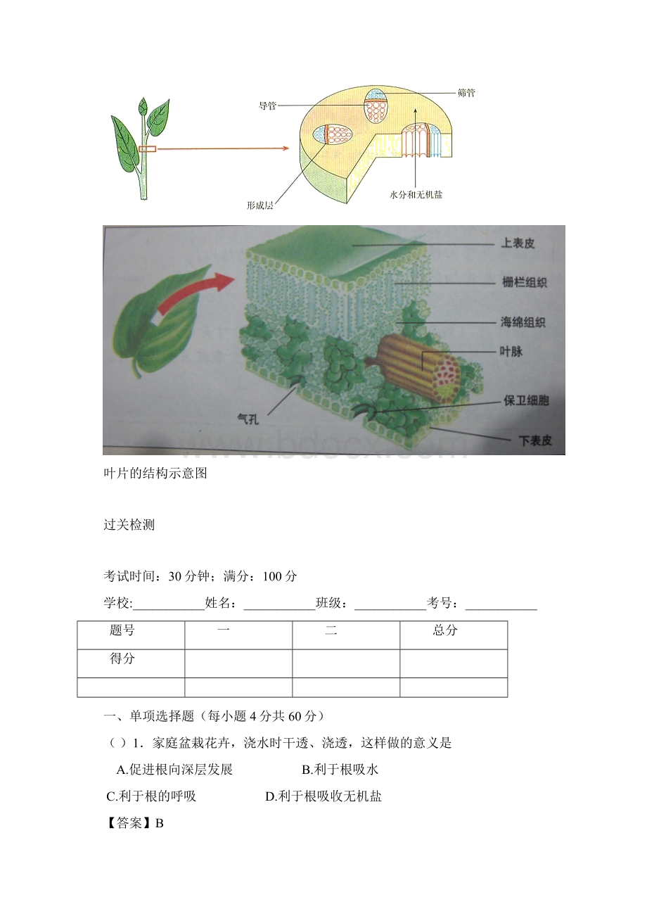 专题08 绿色植物与生物圈的水循坏解析版.docx_第2页