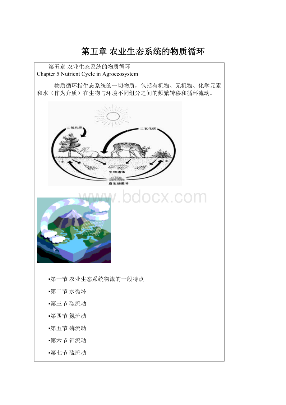 第五章 农业生态系统的物质循环Word文件下载.docx