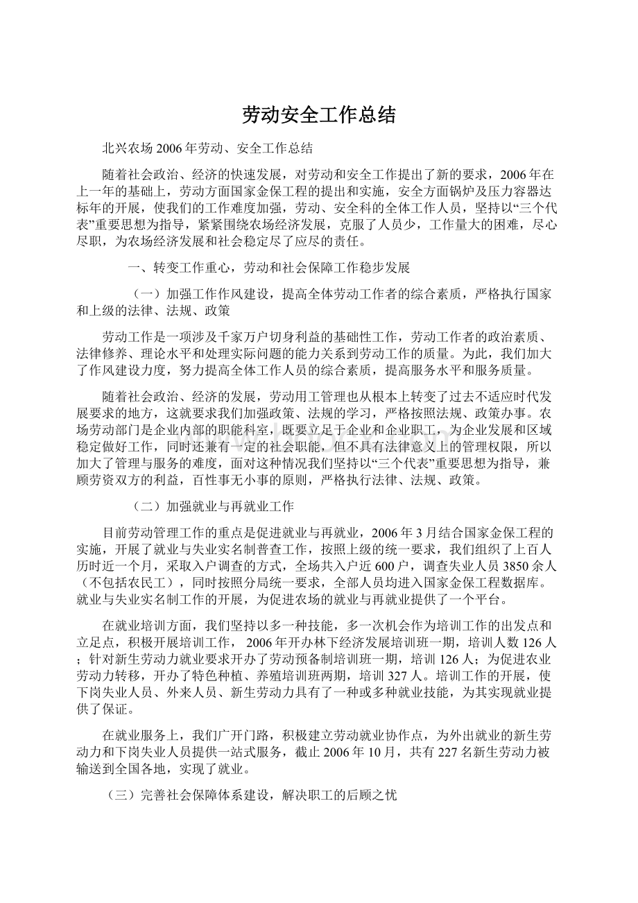 劳动安全工作总结.docx