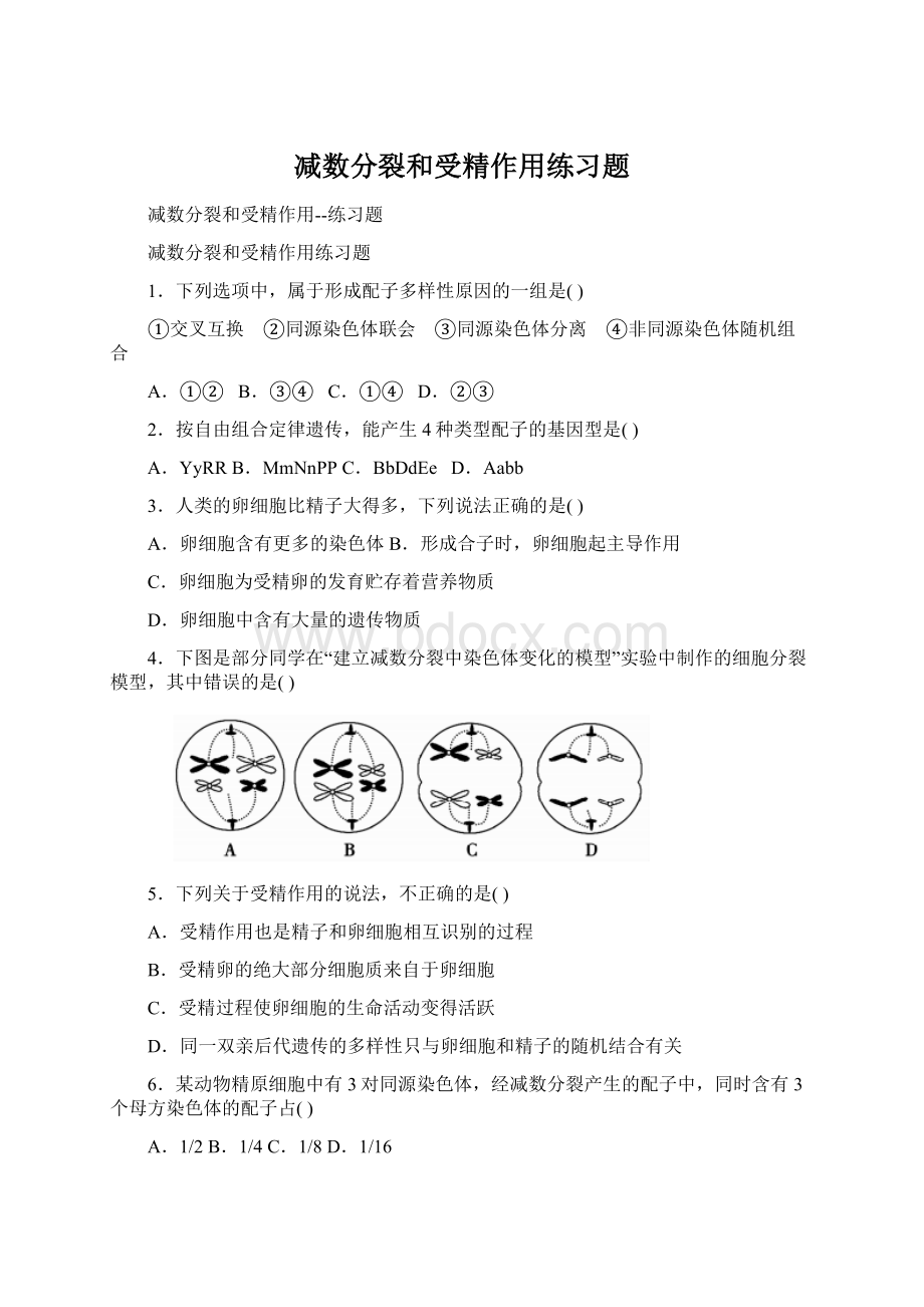 减数分裂和受精作用练习题Word文件下载.docx_第1页