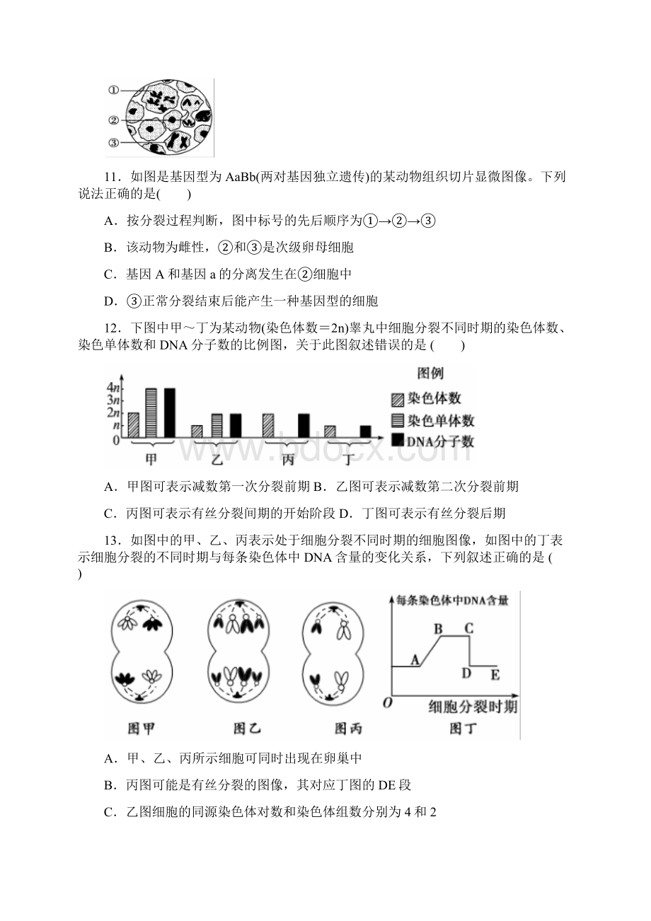 减数分裂和受精作用练习题.docx_第3页