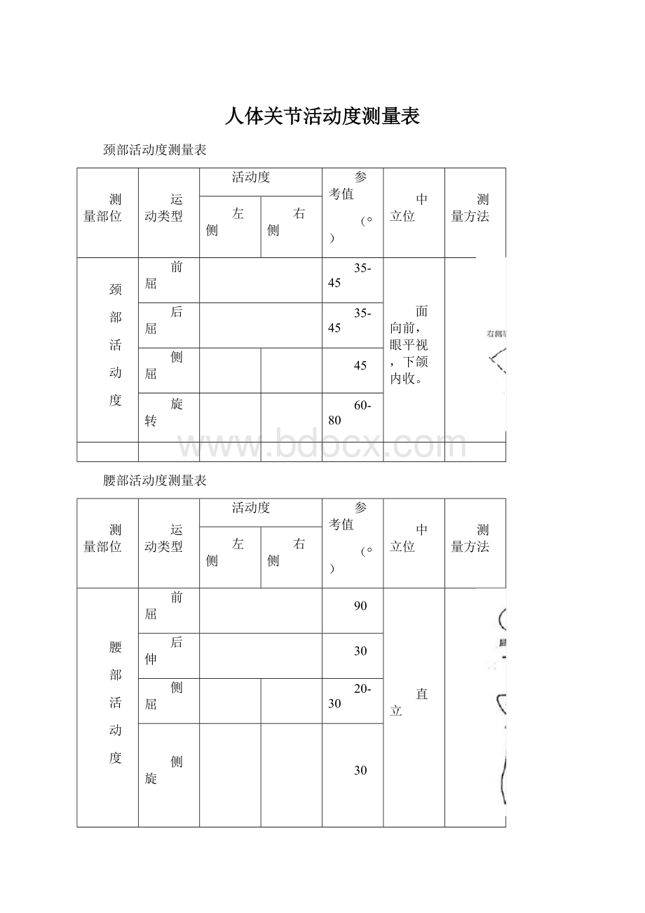 人体关节活动度测量表文档格式.docx