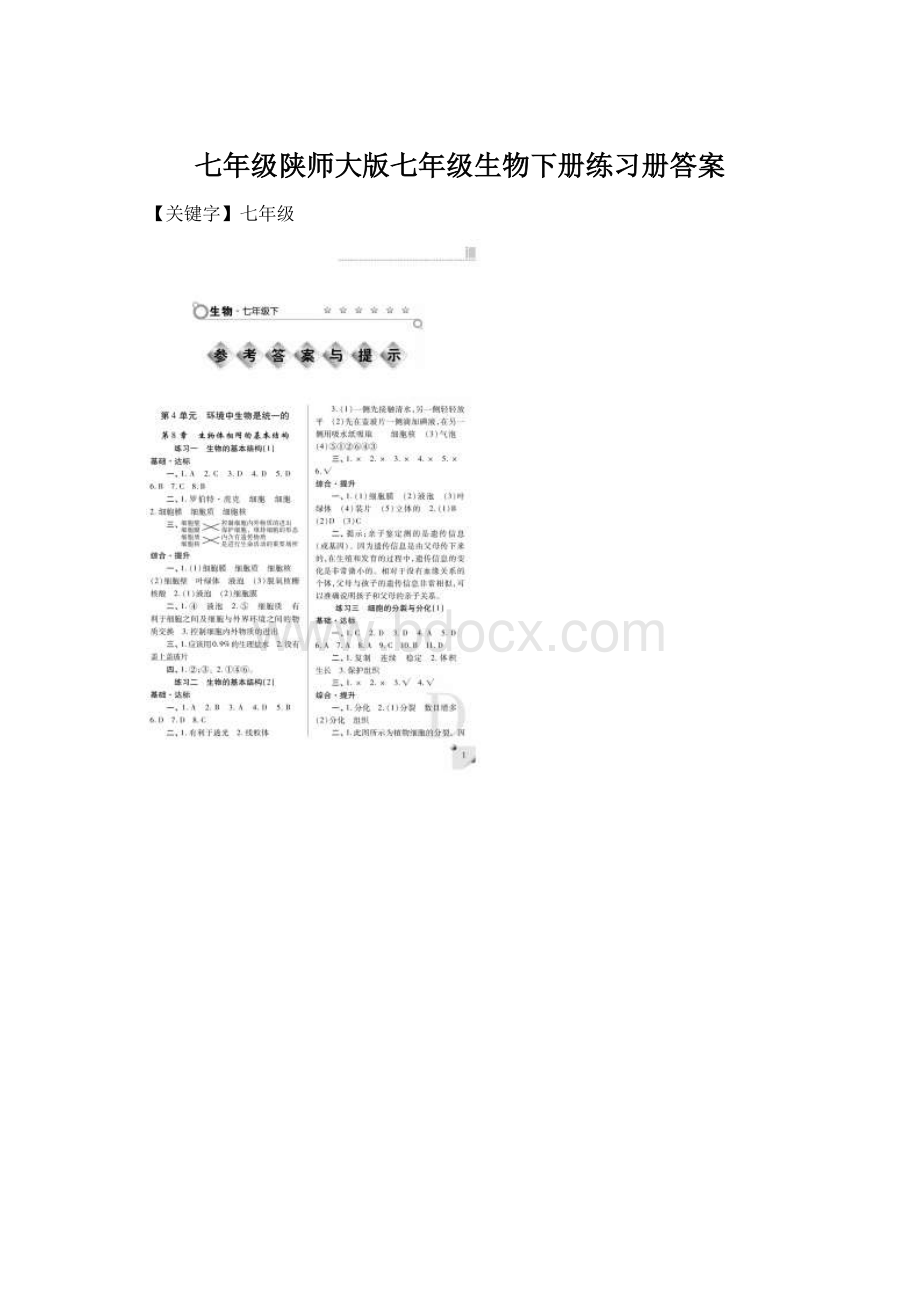 七年级陕师大版七年级生物下册练习册答案Word下载.docx_第1页