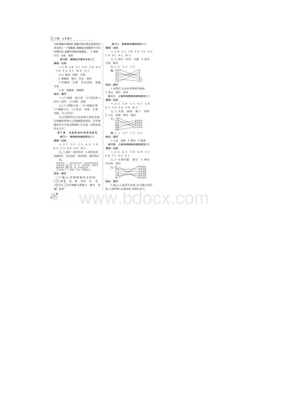 七年级陕师大版七年级生物下册练习册答案Word下载.docx_第2页